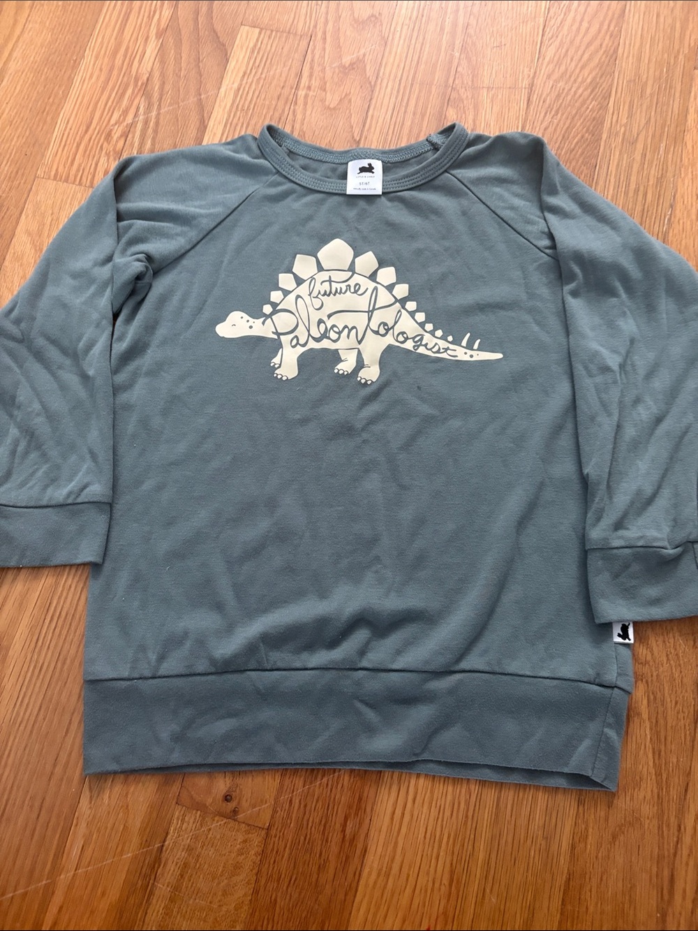 Kids Green Stegosaurus Sweatshirt - Future Paleontologist Graphic